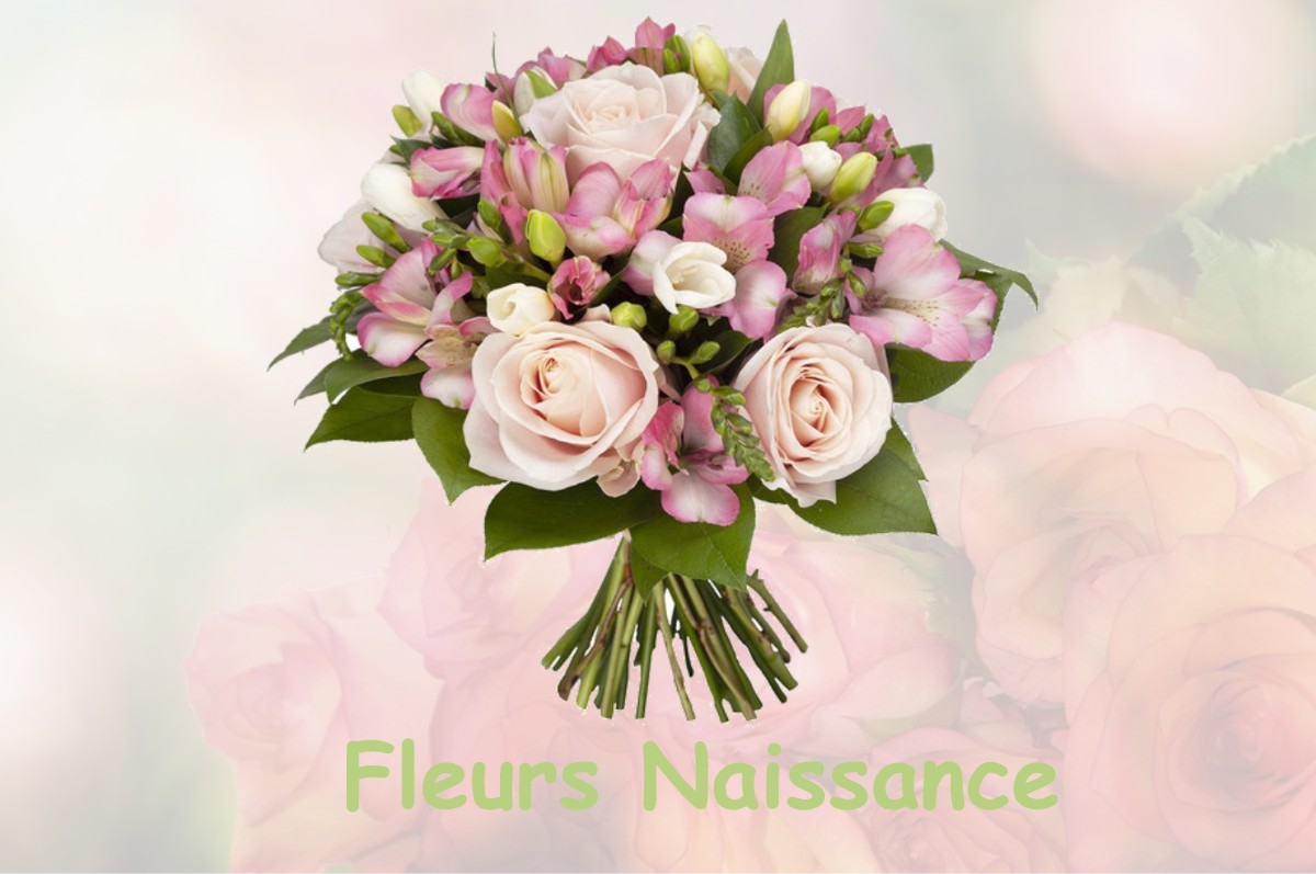 fleurs naissance SAINTE-ANNE-SUR-GERVONDE