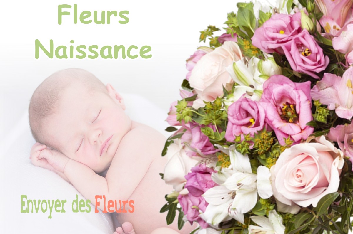 lIVRAISON FLEURS NAISSANCE à SAINTE-ANNE-SUR-GERVONDE